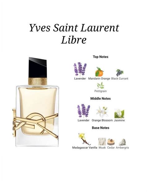 ysl cologne notes|ysl libre perfume free sample.